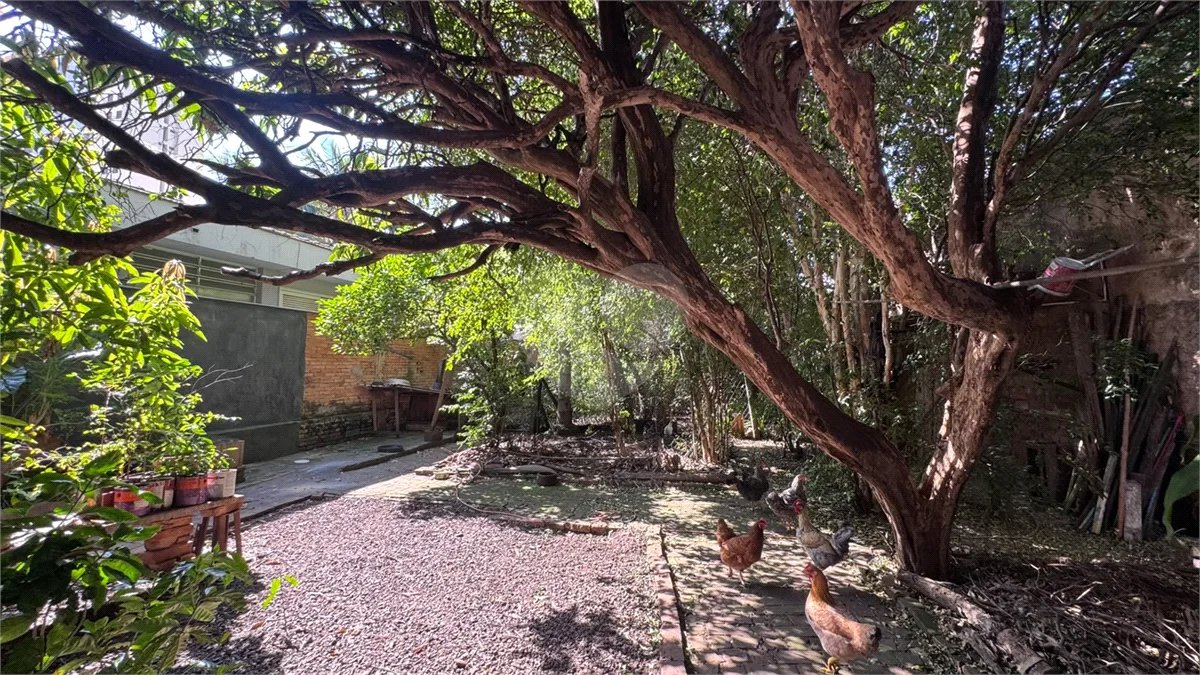 Casa à venda com 4 quartos no Centro, Piracicaba, SP