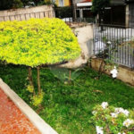 Casa Térrea à venda com 4 quartos, sendo 1 suíte, em Jardim Virginia Bianca, São Paulo, SP