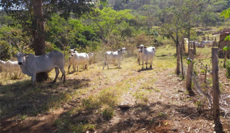 Sítio à venda com 2 quartos no Centro, Descalvado, SP