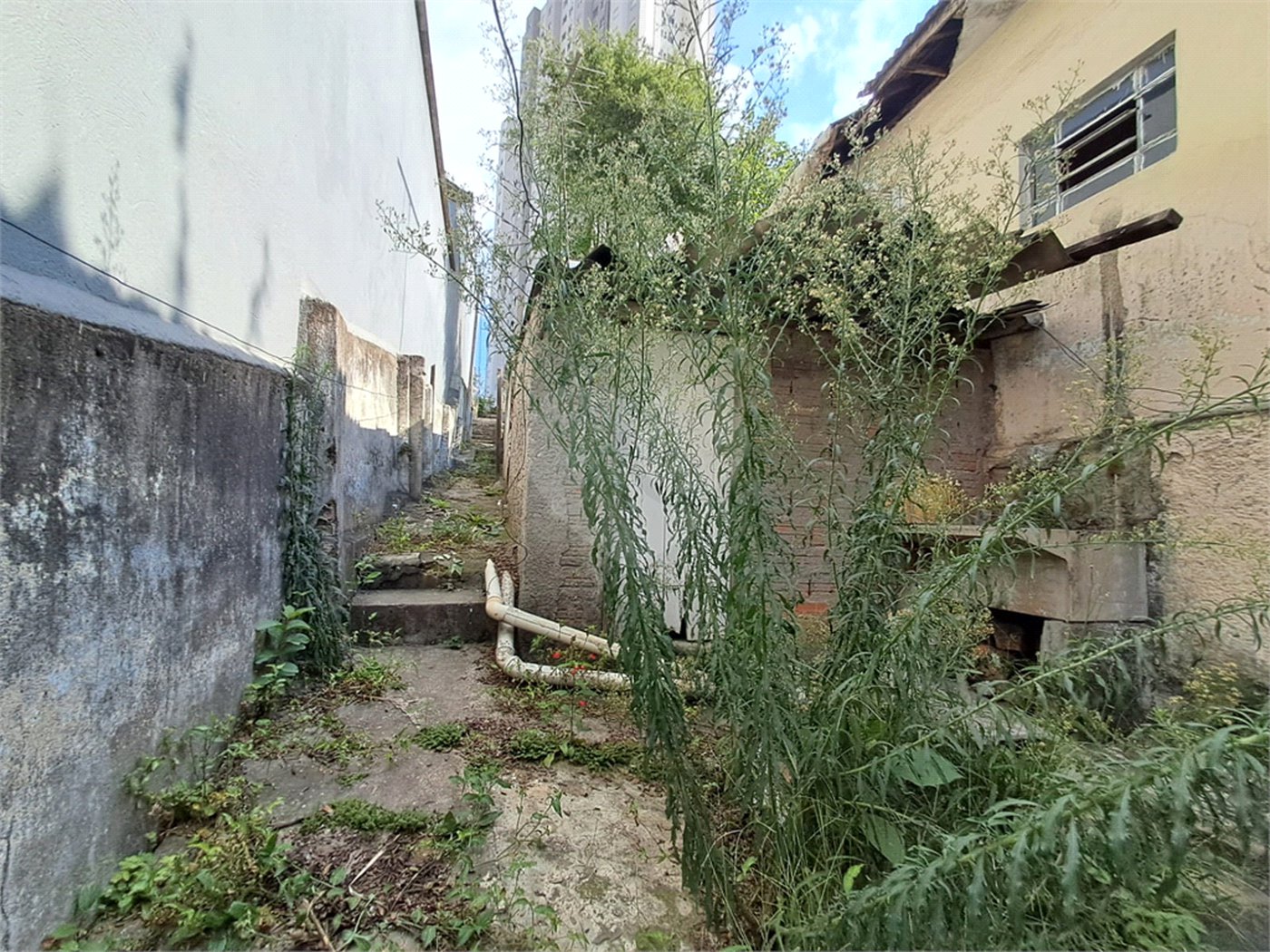 Casa à venda com 3 quartos em Vila Gustavo, São Paulo, SP