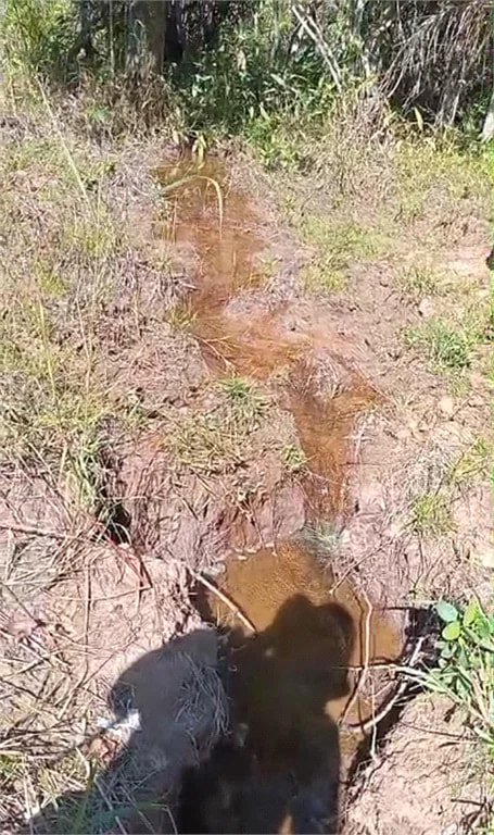 Fazenda à venda com 2 quartos no Centro, Estreito, MA