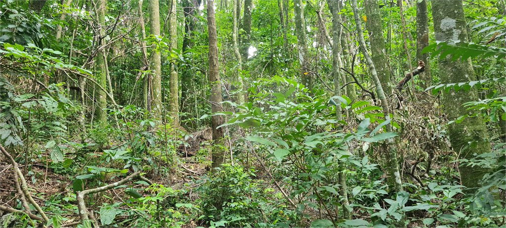 Terreno à venda em Caraguatá, Mairiporã, SP