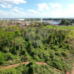 Área de Terra à venda no Centro Empresarial e Industrial Omar Maksoud, Araraquara, SP