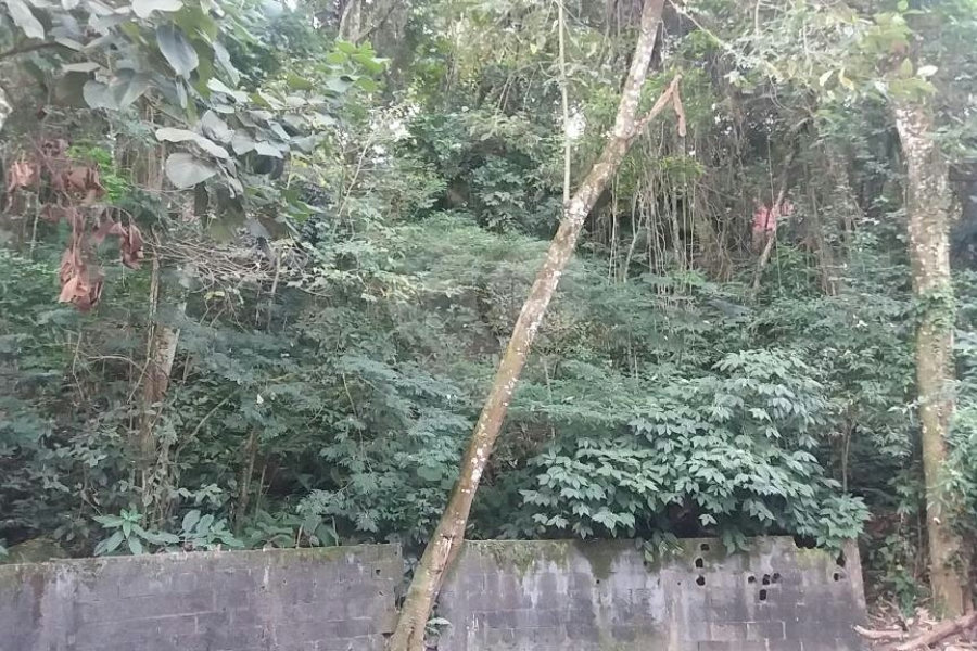 Terreno à venda em Tucuruvi, São Paulo, SP
