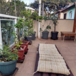 Sobrado à venda com 3 quartos, sendo 1 suíte, em Parque Mandaqui, São Paulo, SP