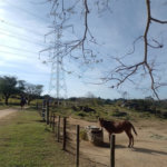 Casa à venda com 7 suítes no condomínio Clube de Campo Valinhos, Valinhos - SP