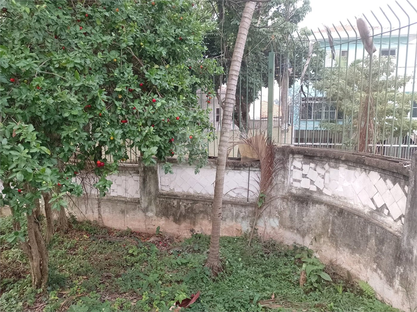 Terreno à venda em Chácara Inglesa (zona Norte), São Paulo, SP