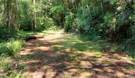 Terreno à venda no condomínio Sausalito, Mairiporã - SP