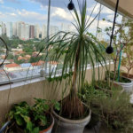 Apartamento à venda com 3 quartos, sendo 1 suíte,  em Brooklin Paulista, São Paulo, SP