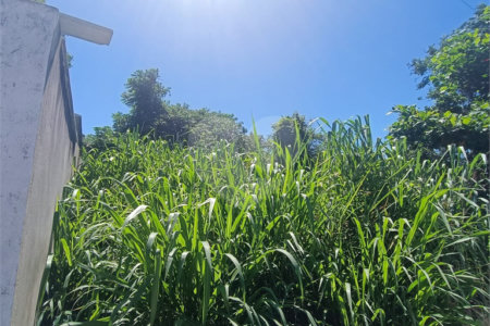 Terreno à venda em Caravelas, Armação dos Búzios, RJ