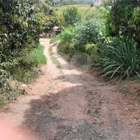 Chácara à venda com 4 quartos, sendo 1 suíte, em Vista Alegre, Vinhedo, SP