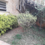 Sobrado à venda com 3 suítes em Tucuruvi, São Paulo, SP