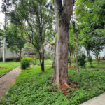 Sobrado à venda com 4 quartos em Brooklin Velho, São Paulo, SP