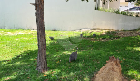 Terreno à venda no condomínio Renaissance, Sorocaba - SP