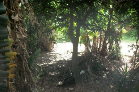 Terreno à venda em Jardim Jussara, São Paulo, SP