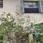 Sobrado à venda com 4 quartos, sendo 1 suíte, em Santana, São Paulo, SP