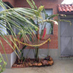 Casa Térrea à venda com 3 quartos, sendo 1 suíte, em Vila Cordeiro, São Paulo, SP