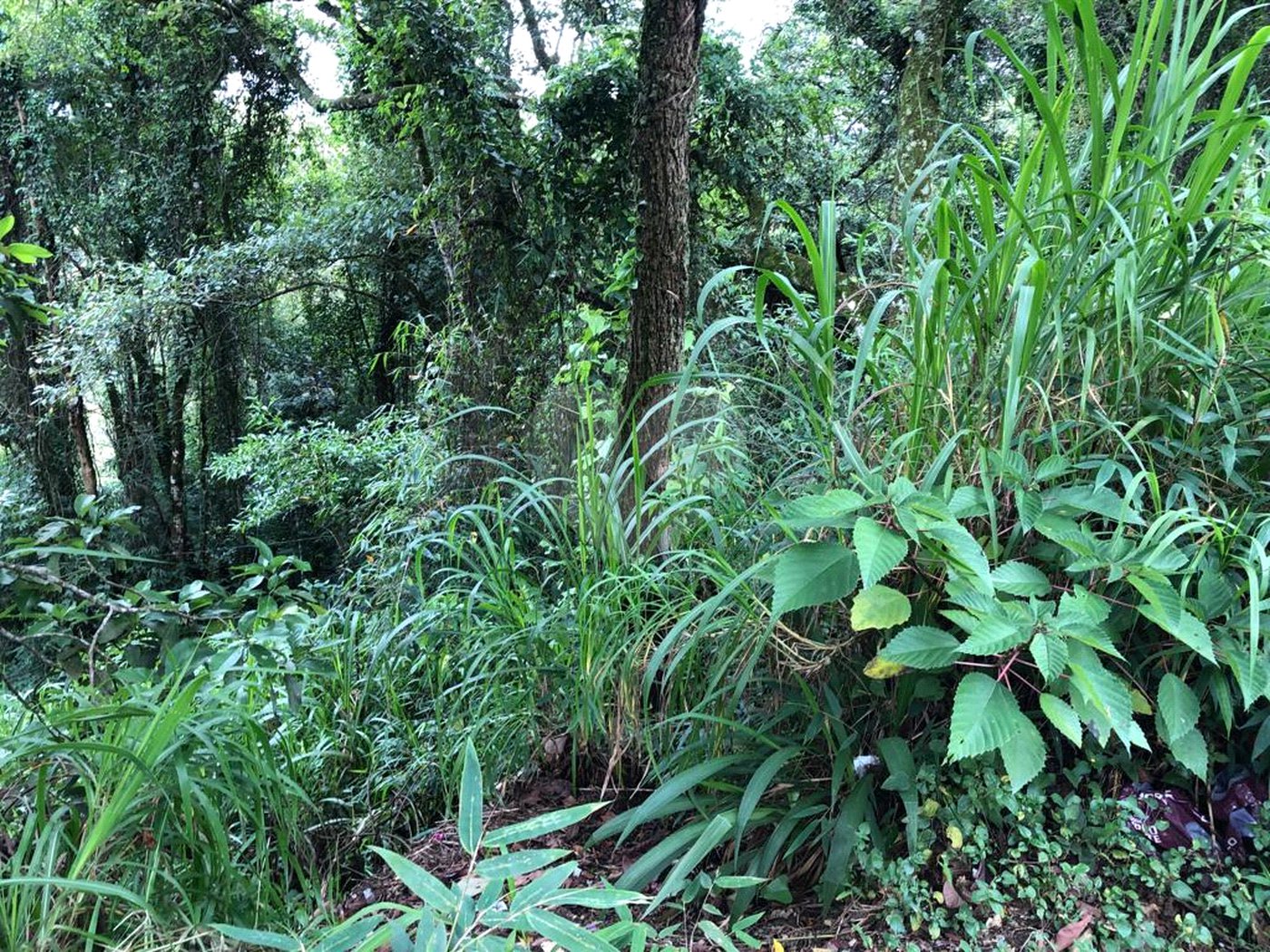 Terreno à venda no condomínio Gleba E2, Mairiporã - SP