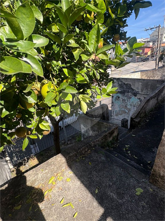 Terreno à venda com 2 quartos em Pirituba, São Paulo, SP