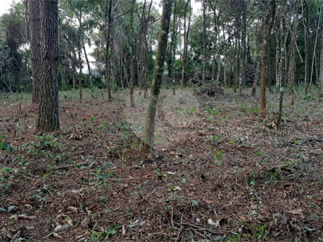 Terreno à venda em Serra da Cantareira, Mairiporã, SP