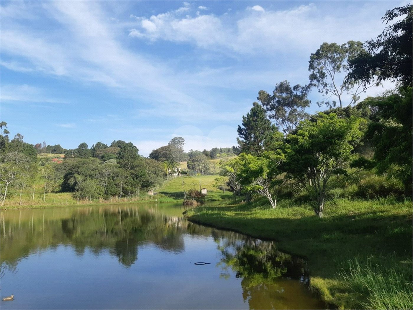 Terreno à venda em Vila Darcy Penteado (mailasqui), São Roque, SP