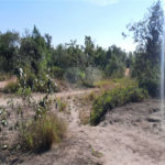Terreno à venda em Caraguatá, Mairiporã, SP