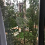 Apartamento à venda com 2 quartos em Água Fria, São Paulo, SP