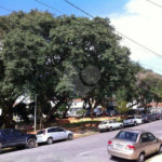 Casa Térrea à venda com 3 quartos no condomínio Praça Carauari,81, São Paulo - SP