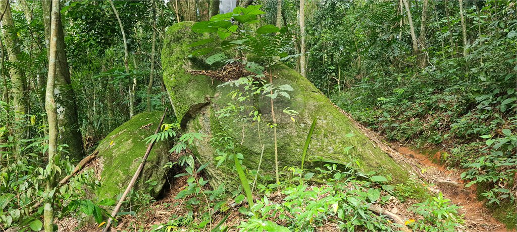 Terreno à venda em Caraguatá, Mairiporã, SP