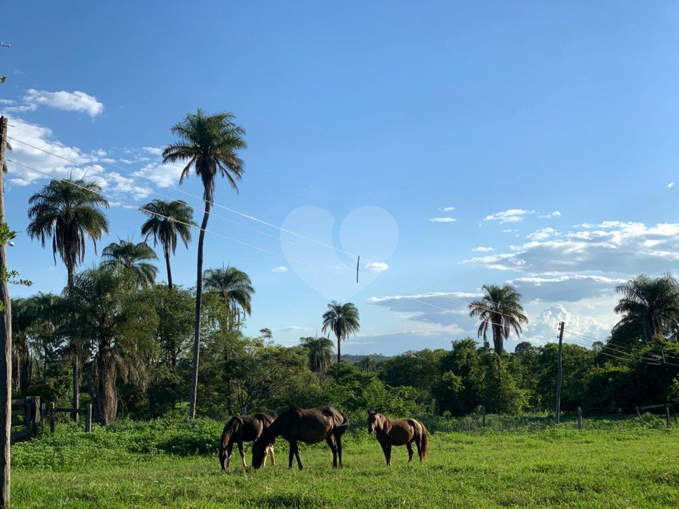 Fazenda à venda com 2 quartos em Canabrava, João Pinheiro, MG