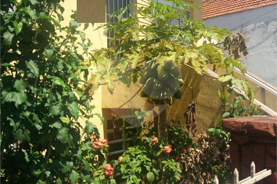 Sobrado à venda com 3 quartos em Tucuruvi, São Paulo, SP
