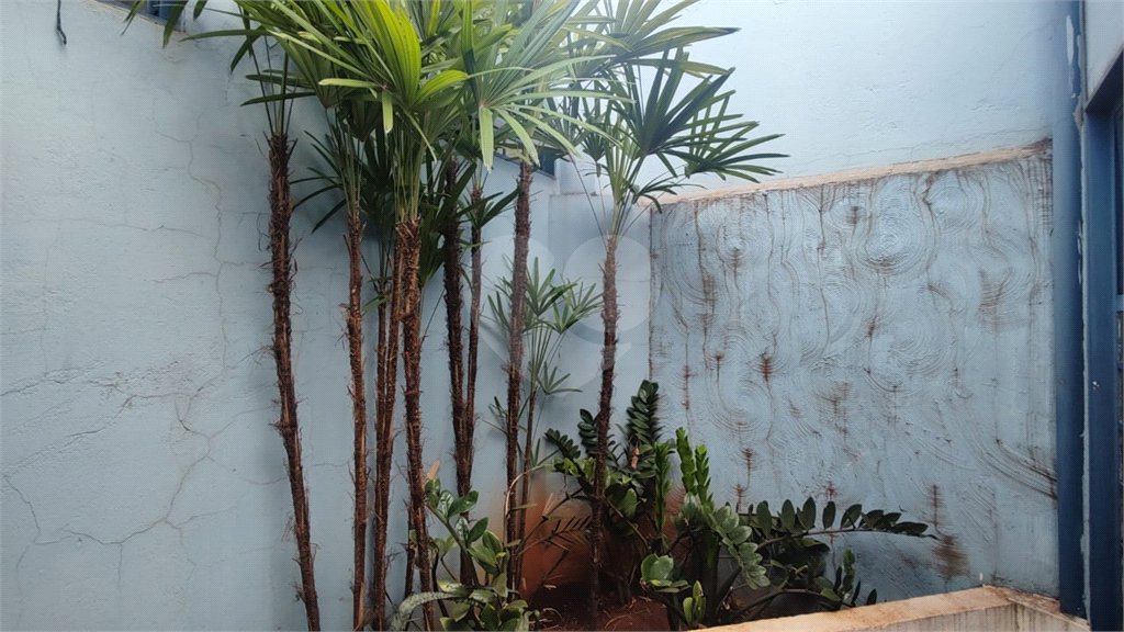 Casa à venda com 3 quartos, sendo 1 suíte, em Vila Monte Alegre, Ribeirão Preto, SP