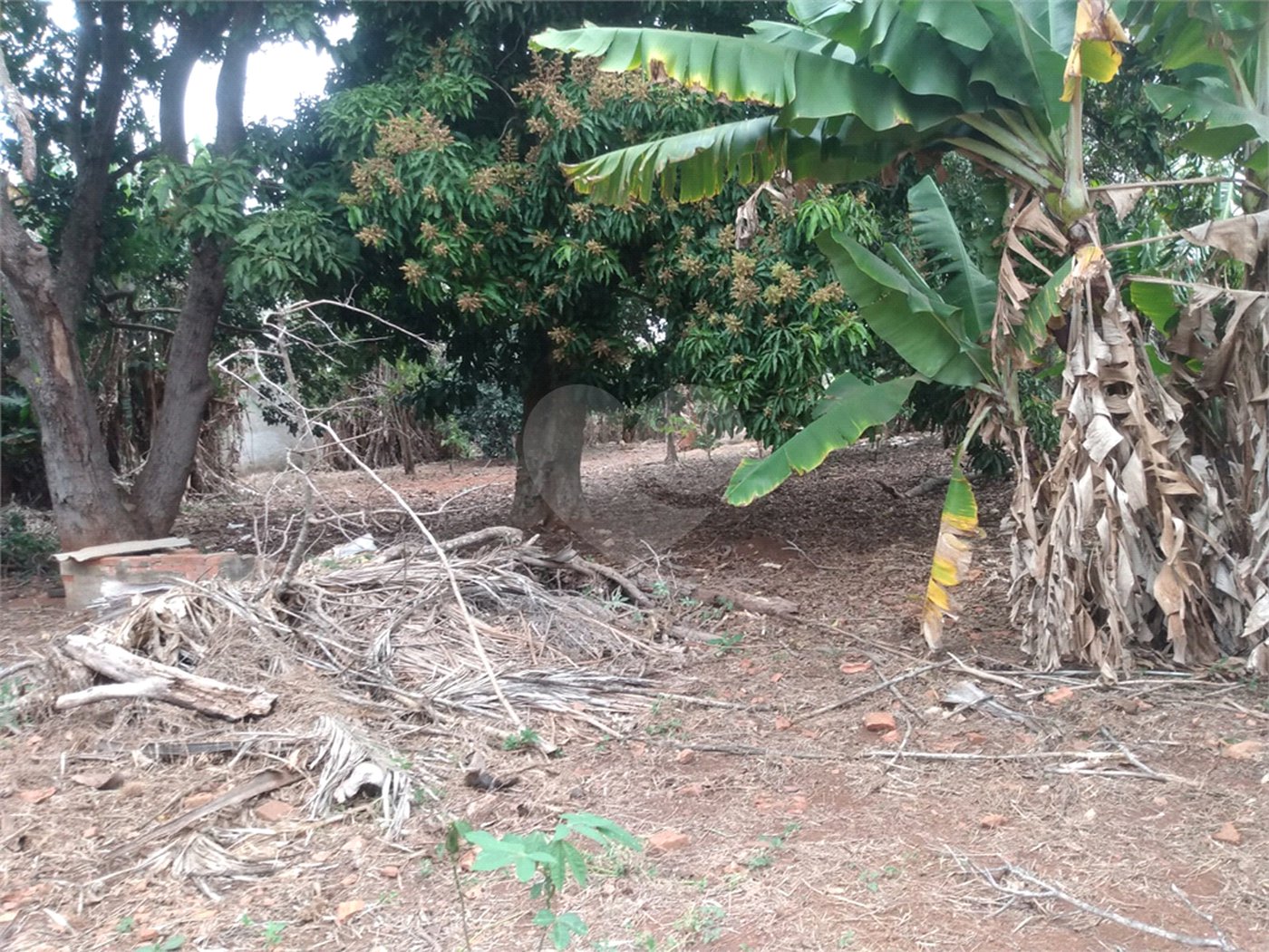 Terreno à venda em Vila Judite, Itapetininga, SP