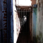 Sobrado à venda com 3 quartos em Vila Renata, Guarulhos, SP