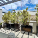 Apartamento à venda com 2 quartos, sendo 1 suíte, em Tijuca, Rio de Janeiro, RJ