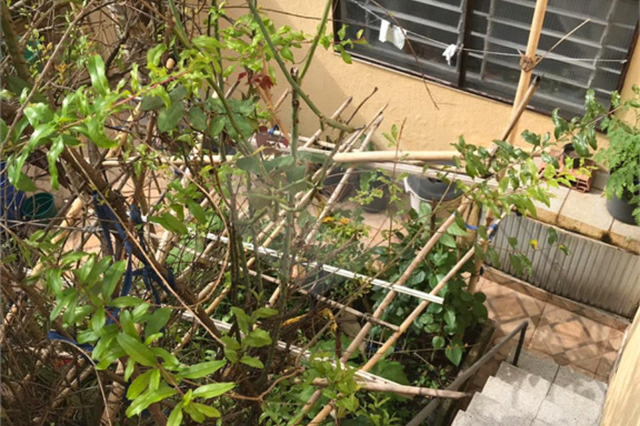 Sobrado à venda com 3 quartos, sendo 1 suíte, em Santana, São Paulo, SP