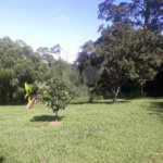 Chácara à venda com 3 quartos, sendo 2 suítes,  em Vila Darcy Penteado (mailasqui), São Roque, SP