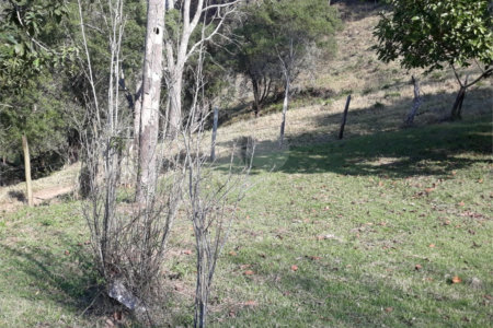 Sítio à venda com 3 quartos em Bairro do Cambará, São Roque, SP