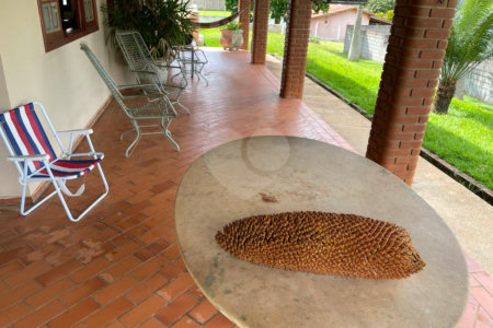 Chácara à venda com 3 suítes no Centro, Araçoiaba da Serra, SP