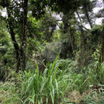 Terreno à venda no condomínio Gleba E1 E2, Mairiporã - SP