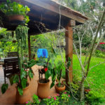 Casa Térrea à venda com 4 quartos, sendo 2 suítes, em Serra da Cantareira, Mairiporã, SP