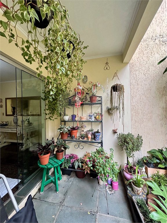 Sobrado à venda no Tucuruvi com 4 suítes, 2 master, salão de festas, área gourmet e 7 vagas.