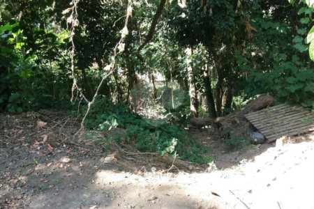 Terreno à venda em Tucuruvi, São Paulo, SP