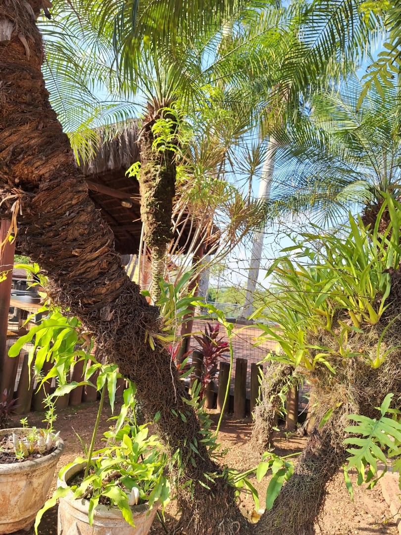 Rancho com 12 dormitórios à venda, 63000 m² por R$ 7.500.000,00 - Condomínio Haras Paineiras - Salto/SP
