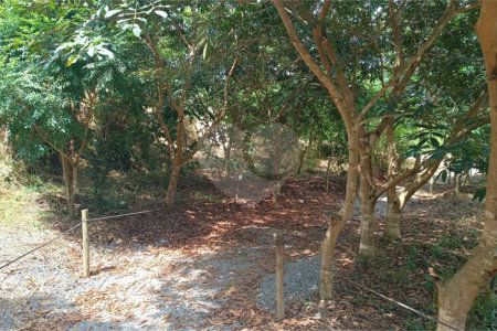 Casa à venda com 3 suítes no condomínio Associação dos Moradores do Loteamento Alto da Floresta, Bom Jesus dos Perdões - SP