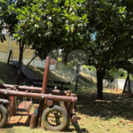Sobrado à venda com 3 quartos, sendo 1 suíte, no condomínio Villagio da Granja, Cotia - SP