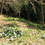 Terreno à venda em Jardim Morumbi, São Paulo, SP