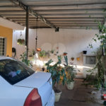 Casa Térrea à venda com 4 quartos em Parque Edu Chaves, São Paulo, SP
