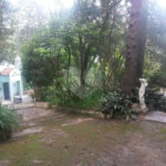 Casa Térrea à venda com 4 quartos, sendo 2 suítes,  em Tucuruvi, São Paulo, SP