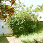 Casa Residencial à venda, Balneário Marambaia, Itanhaém - CA0135.